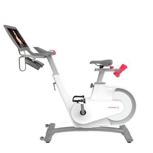 Купить Велотренажер Yesoul BV1-W PLUS в Краснотурьинске 